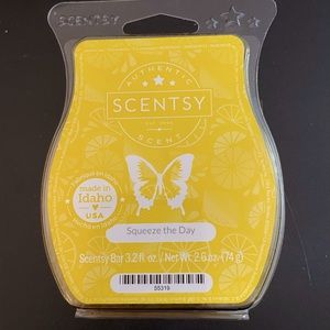 Squeeze The Day Scentsy Bar